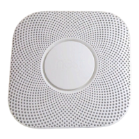 Preview: nest 06C