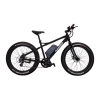Bicycle Logo