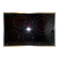 Preview: AEG 88101