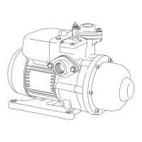 Preview: Walrus Pump TQCN200