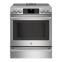 Preview: GE CCHS995