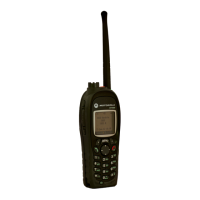 Preview: Motorola MTH800