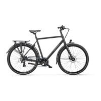Preview: Batavus Hybride