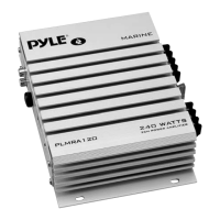 Preview: Pyle PLMRA120