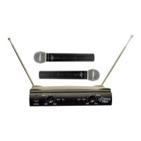 Preview: Pyle Pro PDWM 2500