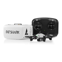 Preview: Fat Shark 101