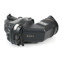 Preview: Sony HDVF-C30W