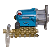 Preview: CAT Pumps 67DX39G1I