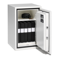 Preview: Robur PS300/E31