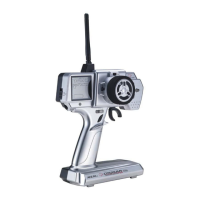 Preview: ACE RC Cougar PS3i