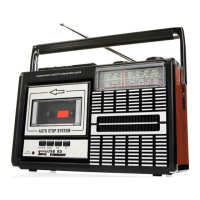 Preview: Ricatech PR85