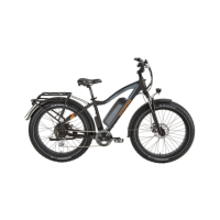 Preview: Rad Power Bikes RadRhino