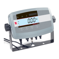 Preview: OHAUS T51P