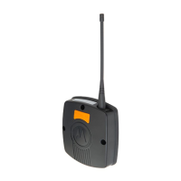 Preview: Motorola Piccolo-XR