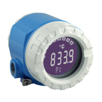 Preview: Endress+Hauser iTEMP TMT162