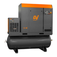 Preview: DV Systems G20
