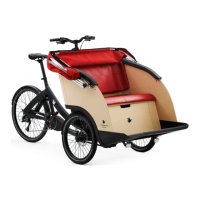 Preview: TRIOBIKE Taxi