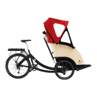 Preview: TRIOBIKE Taxi