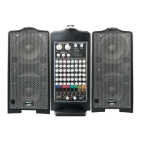 Preview: Fender PASSPORT PD-500