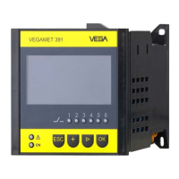 Preview: Vega VEGAMET 391