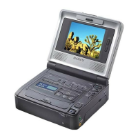 Preview: Sony GV-D200