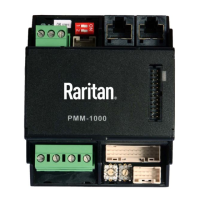 Preview: Raritan PMC-1000