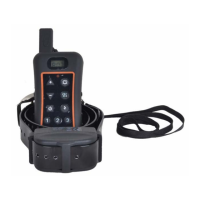Preview: Trainertec Electronic DT1200V