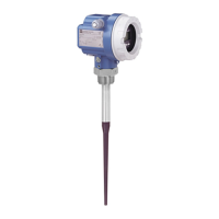 Preview: Endress+Hauser FMR 231