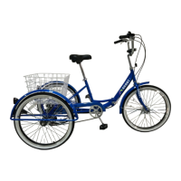 Preview: BuyTricycle Adult trike