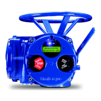 Preview: Flowserve Limitorque MX