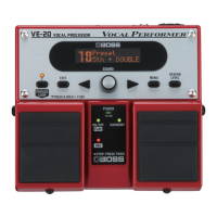 Preview: Boss Vocal Performer VE-20