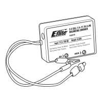 Preview: E-FLITE EFLC3110