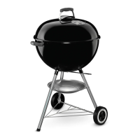 Preview: Weber 57884
