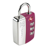 Locks Logo