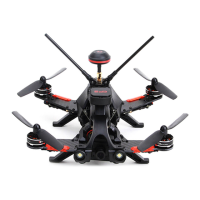 Preview: Walkera Runner 250 PRO