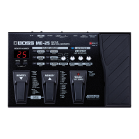 Preview: Boss ME-25