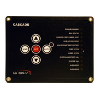 Preview: Murphy Cascade CD101