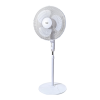 Fan Logo