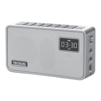 Preview: Tecsun ICR-100