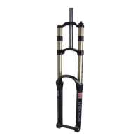 Preview: Rock Shox Boxxer Ride