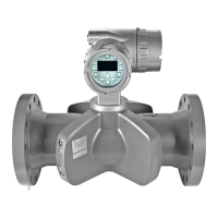 Preview: GE Measurement Sentinel LCT4