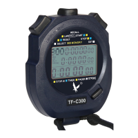 Preview: Leap TF-C300