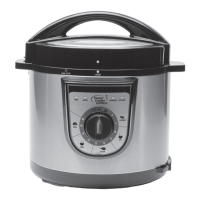 Preview: Power Cooker YBD60-100