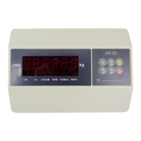 Preview: Yaohua Weighing System YH-T6