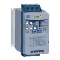 Preview: WEG SSW-07