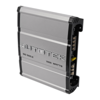 Preview: Autotek SS1000.2
