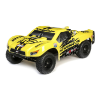 Preview: Team Losi 22S SCT