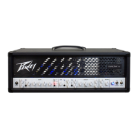 Preview: Peavey Invective 120