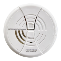 Preview: BRK electronic CO250RVA-48B