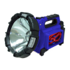 Flood Light Logo